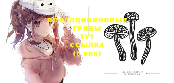 эйфоретик Баксан