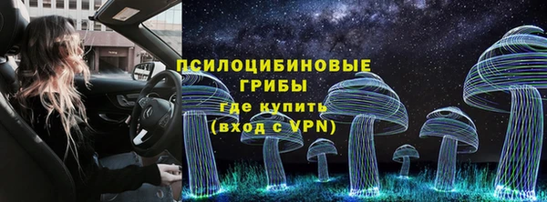 СК Липки