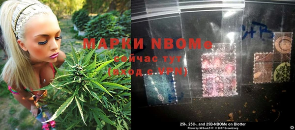 PSILOCYBIN Балабаново