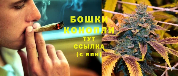 эйфоретик Баксан